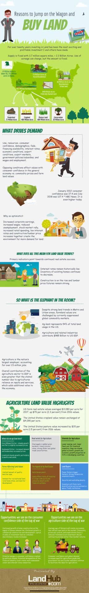 infographic Buying Land 101 Tips