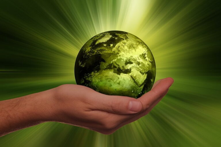 Why The World Needs To Move Towards Sustainable Energy
