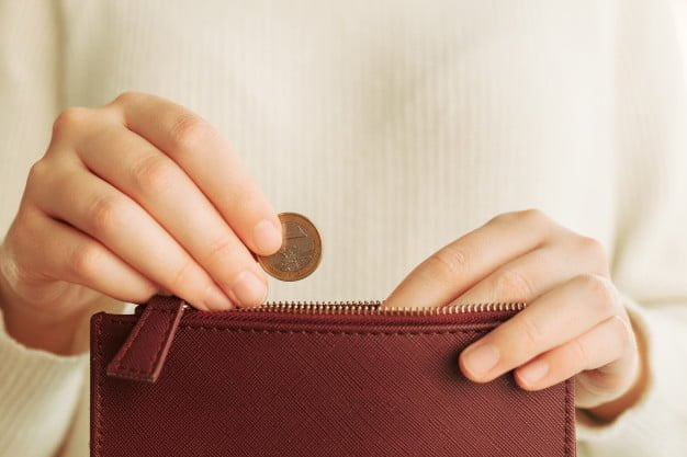 hands introducing coin wallet 154993 15