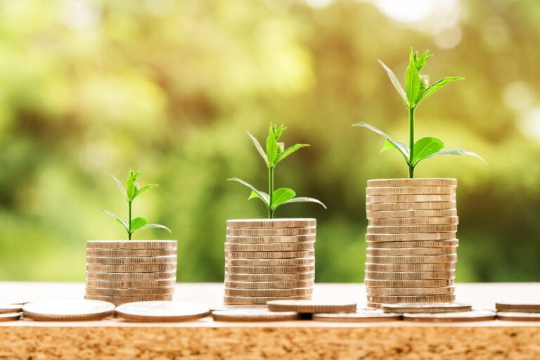 Ways to Ensure the Growth of the Business