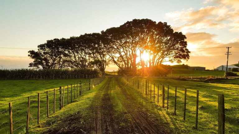 What Exactly is Included in Your Average Farm Insurance Policy?