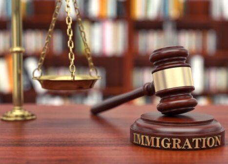 undocumented immigrant