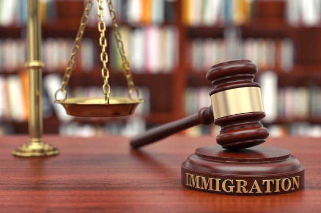 undocumented immigrant