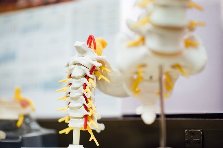 Paralysis & Spinal Cord injuries 