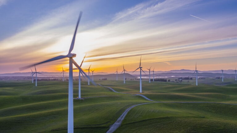 ESG Reporting Frameworks Comparison: Which One Should You Use?