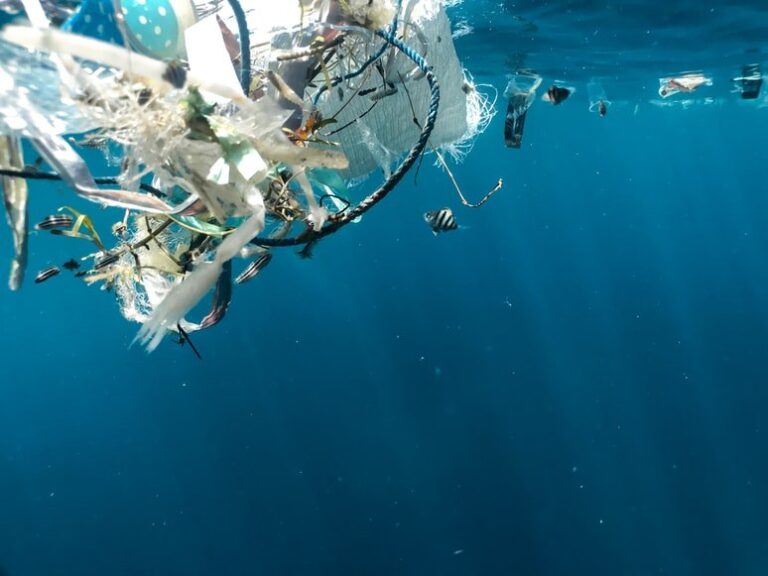 Top 5 Reasons Why Plastic Bags Should Be Banned