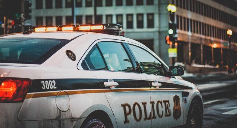 What Are The Different Types Of Criminal Cases?