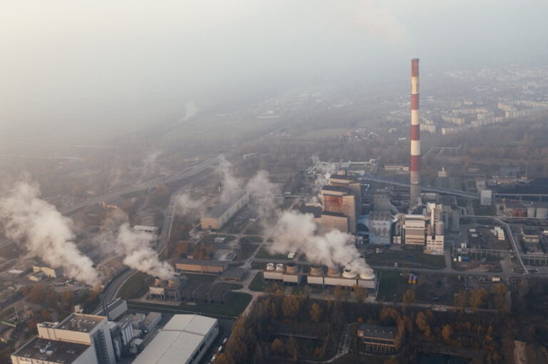 The Effect Of The CO2 Crisis On The Commodities Market And The Consumer