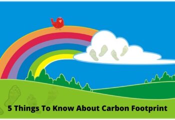 About Carbon Footprint