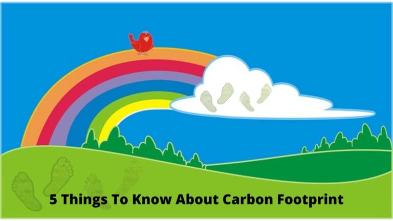 5 Things To Know About Carbon Footprint