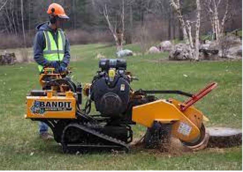 What is a stump grinder?