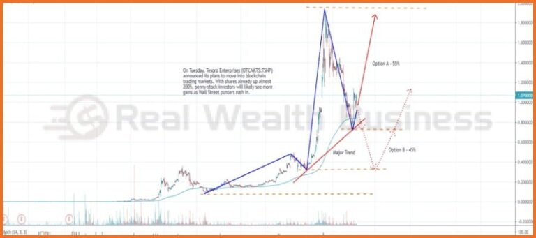 TSNP Stock – Is It A Good Investment In 2022?