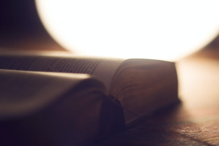 Why Choose Agency Online Translation Services Over The Alternatives?