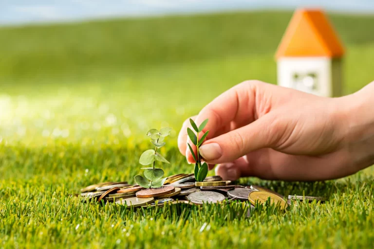 Investing In Companies