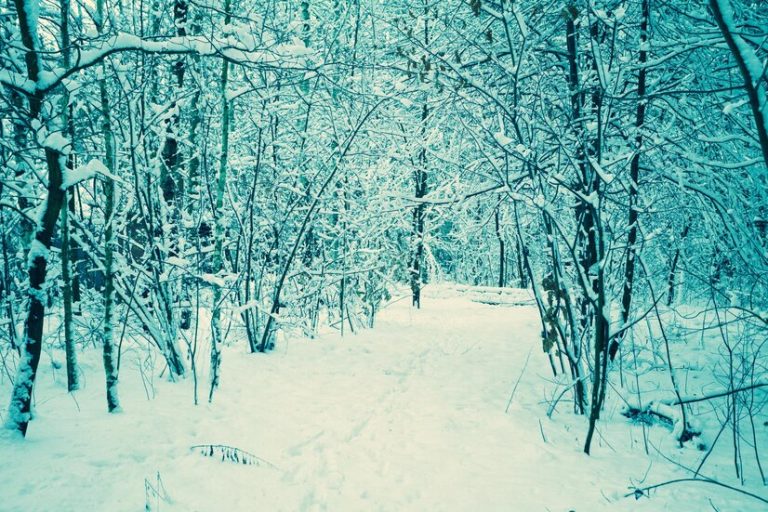 The Best Ways To Make The Most Of Winter Weather