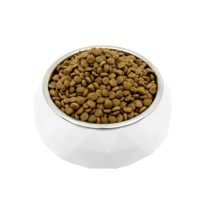 Learn more about dog nutrition
