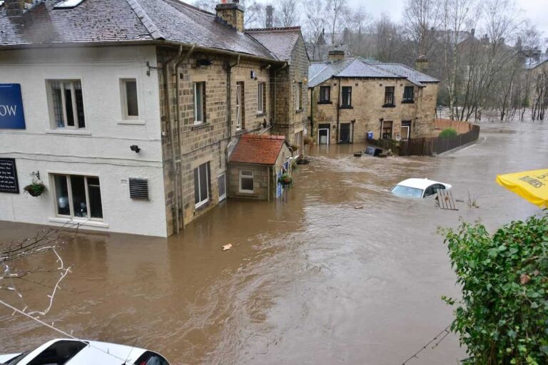 When To Use A Public Adjuster For Flood Insurance Claims?