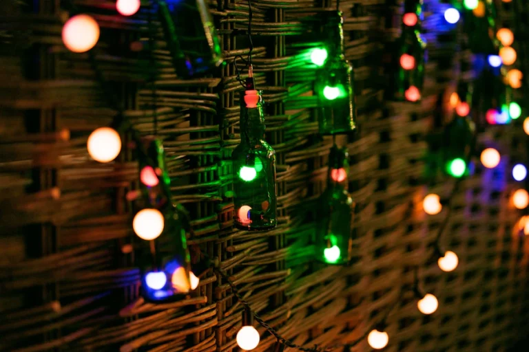 Secure Your Online Shopping from LED Festoon Lights Fraud