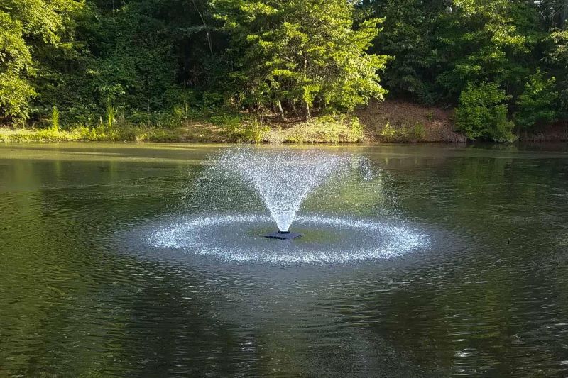 Choosing a Fountain for Your Pond