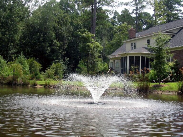 A Guide To Choosing The Perfect Fountain For Your Pond