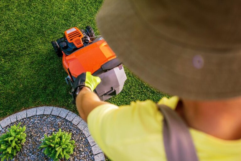 LandShark Sidewalk Edger: A Comprehensive Review