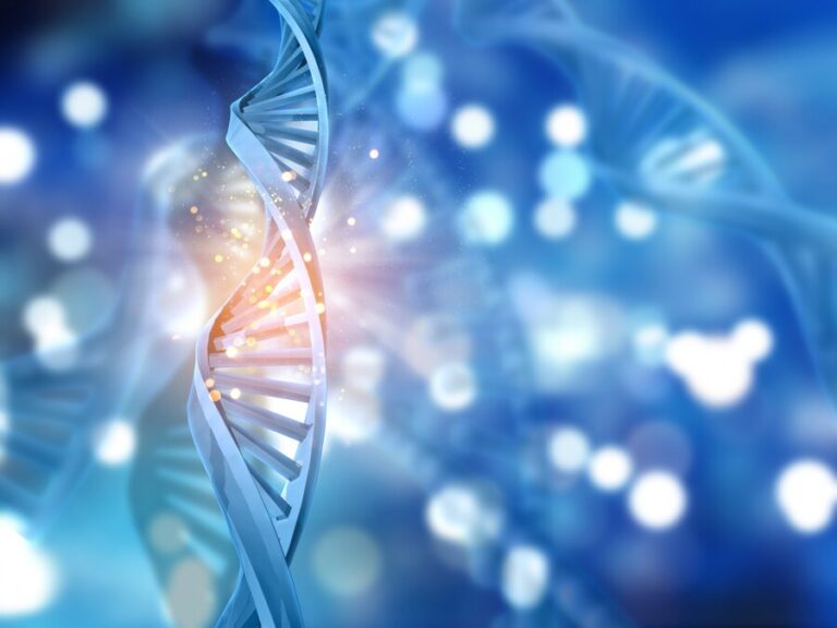 How Does Completing Your Biology Homework Everyday Bring You A Step Closer To Becoming A Medical Professional?
