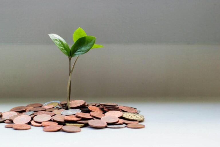 The Path To Wealth Starts With A Smart Debt Solution That Works For You