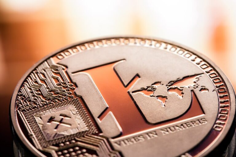 Fast And Profitable Exchange Of Perfect Money Dollars To Litecoin (LTC)