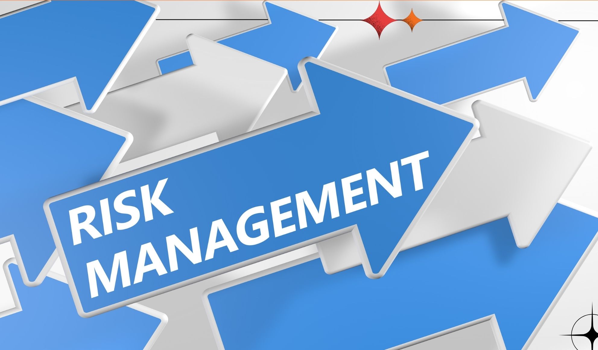 Prominent Risk Management Strategies You Must Know About