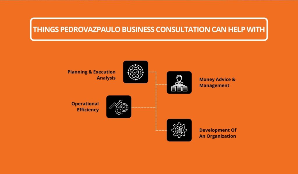 Things PedroVazPaulo Business Consultation Can Help With