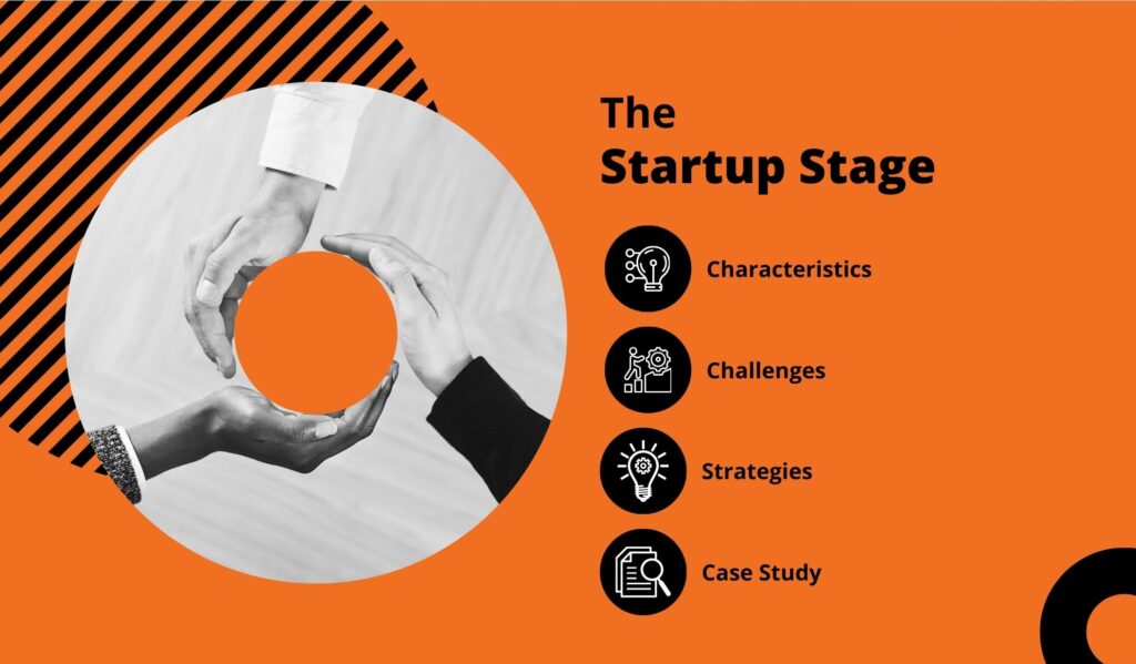 The Startup Stage