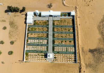 desert farming business