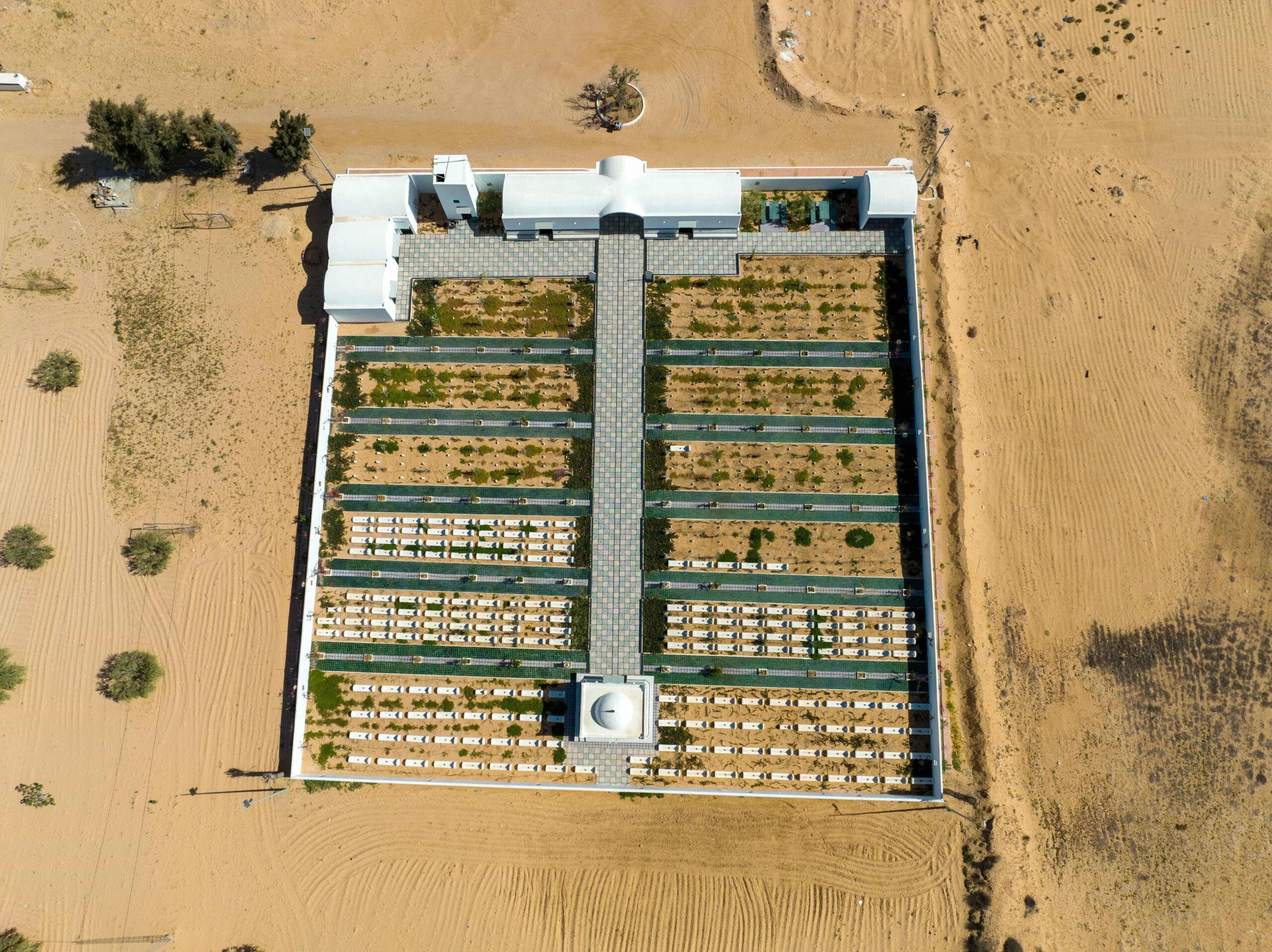 desert farming business