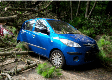 Auto comprehensive insurance