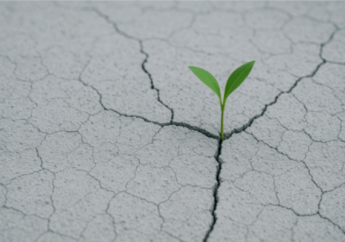 How Florida Businesses Can Recover From Disruptions