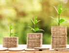 Sustainability Dividend