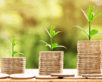 Sustainability Dividend