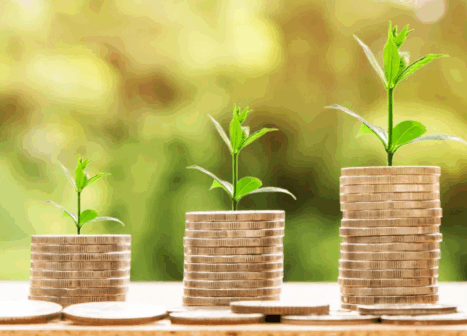 Sustainability Dividend