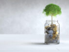 Investment Habits